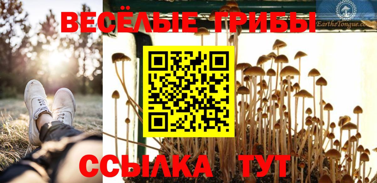 Псилоцибиновые грибы прущие грибы Тихорецк