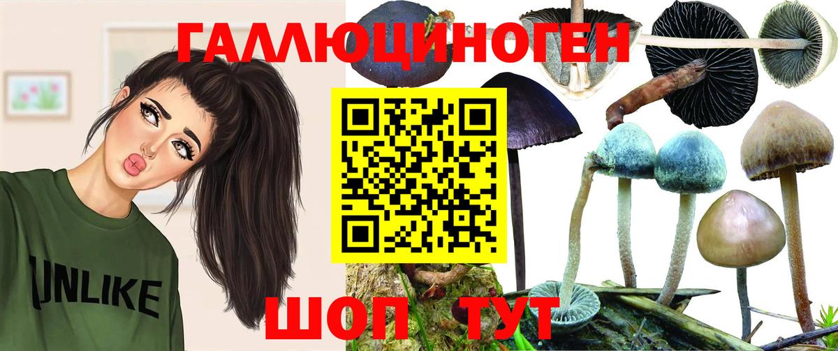 Тихорецк  Галлюциногенные грибы MAGIC MUSHROOMS  Вход с VPN  Галлюциногенные грибы GOLDEN TEACHER 